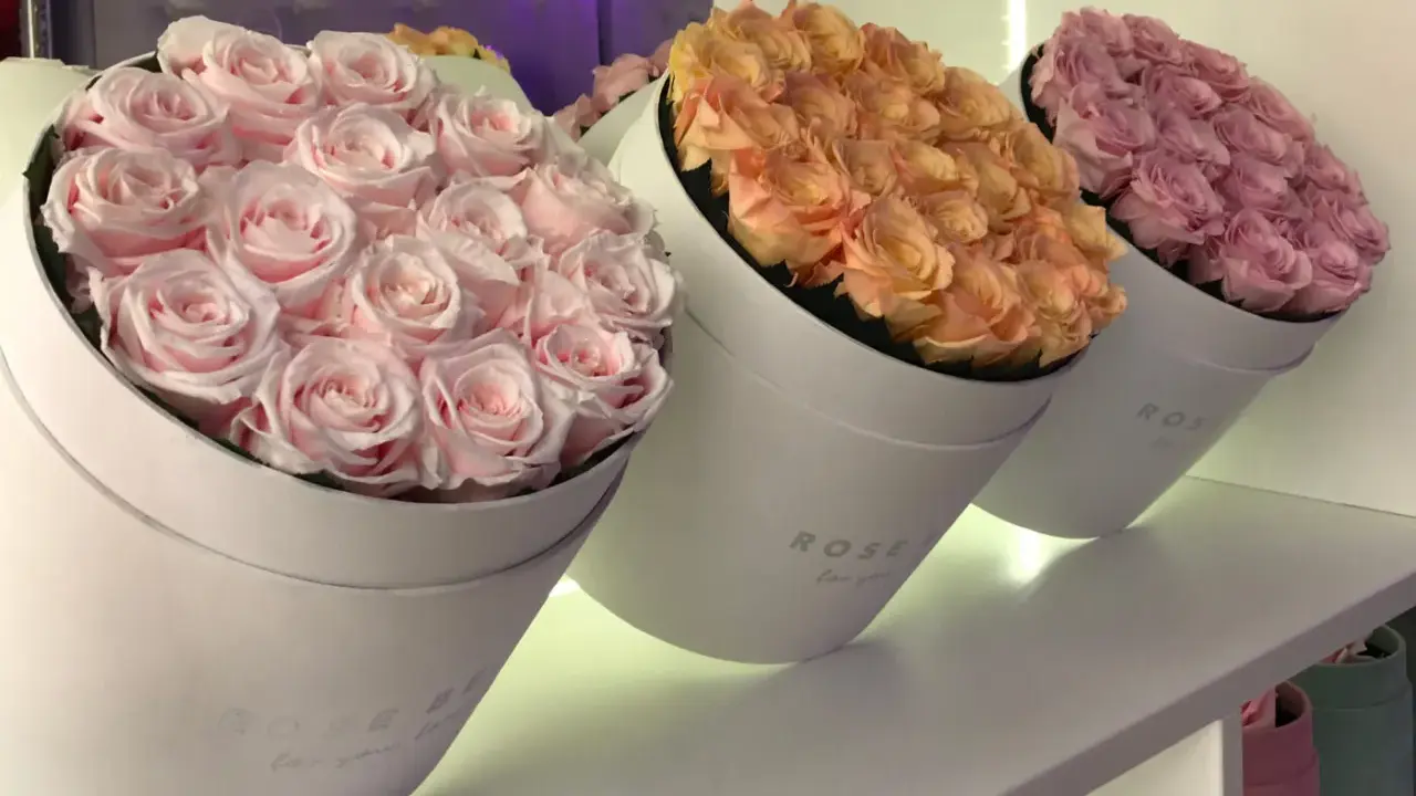 Trzy okrągłe pudełka z różami w pastelowych kolorach: różowym, brzoskwiniowym i fioletowym. Idealne kwiaty na ślub w prezencie.