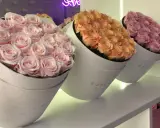 Trzy okrągłe pudełka z różami w pastelowych kolorach: różowym, brzoskwiniowym i fioletowym. Idealne kwiaty na ślub w prezencie.