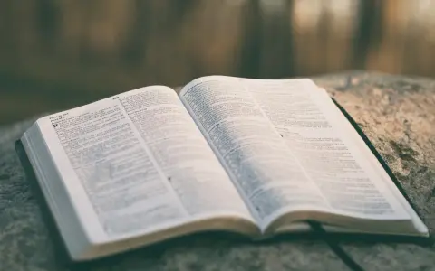 Otwarta Biblia na kamieniu. Psalm do miłości, słowa nadziei i wiary.