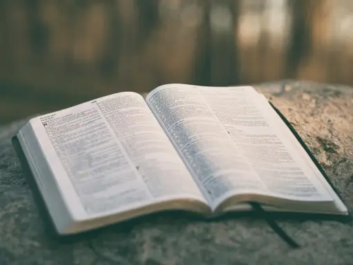 Otwarta Biblia na kamieniu. Psalm do miłości, słowa nadziei i wiary.