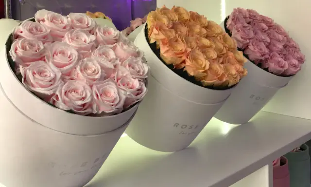 Trzy okrągłe pudełka z różami w pastelowych kolorach: różowym, brzoskwiniowym i fioletowym. Idealne kwiaty na ślub w prezencie.