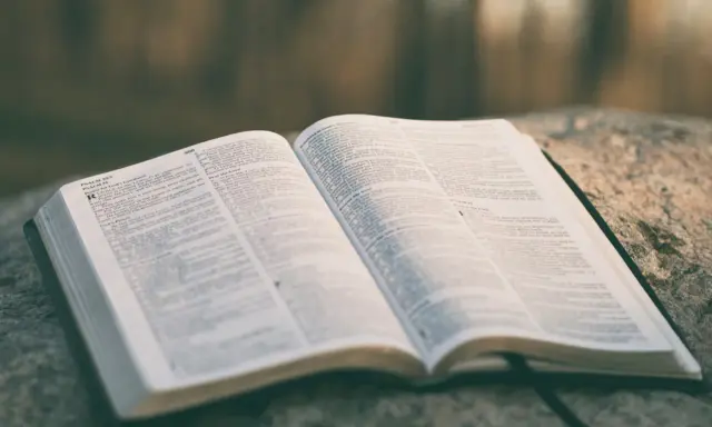Otwarta Biblia na kamieniu. Psalm do miłości, słowa nadziei i wiary.